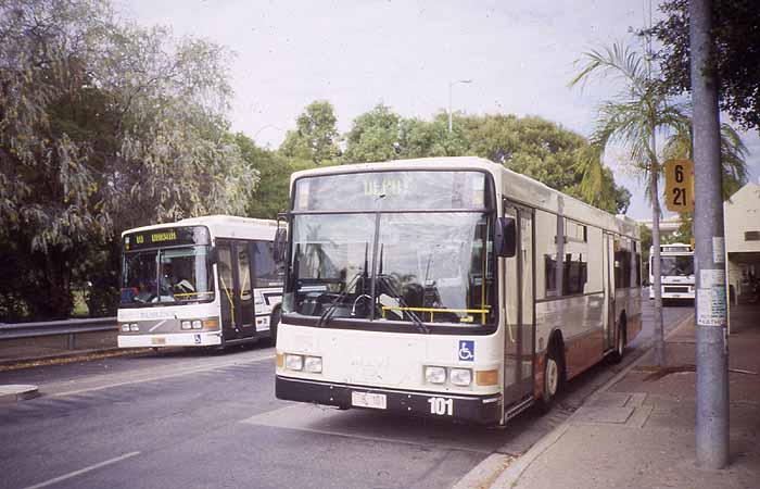 Darwin MAN NL202 Volgren CR221L 101